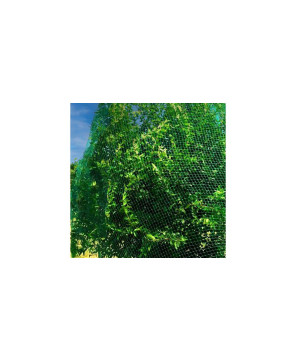 Plasa Anti-pasari 4m x 70m din polietilena , 12 g/m2 , ochiuri de 1,5x1.5 cm, verde Verde