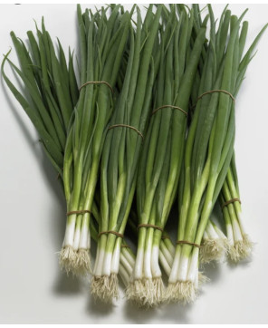 Seminte de ceapa verde Rhea...