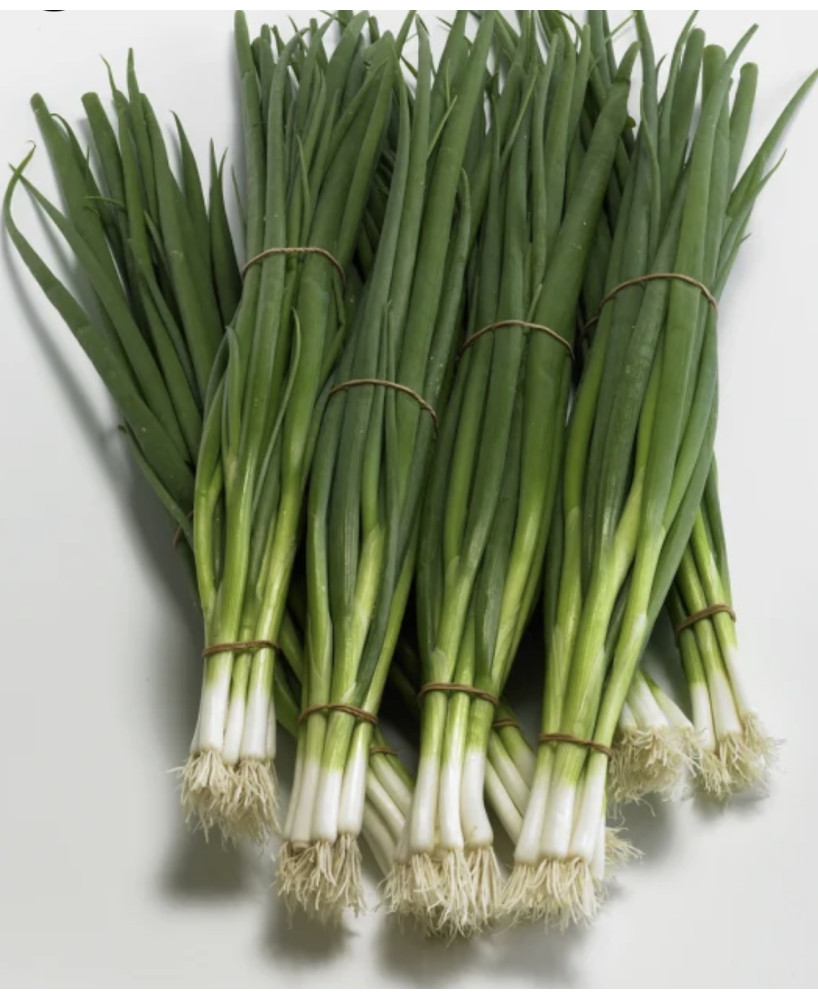 Seminte de ceapa verde Rhea F1, 1000 seminte